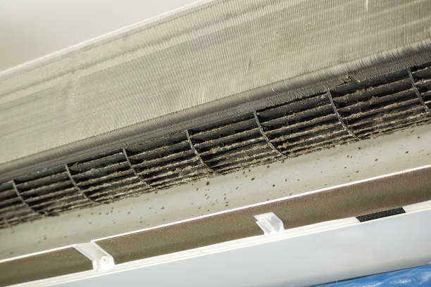 Best Best Air Duct Cleaning Company  in Heathrow, FL